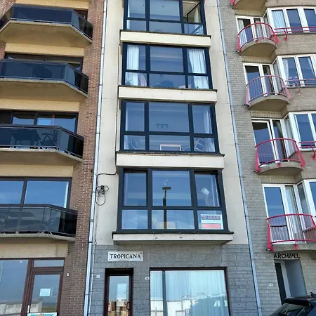 Zeezand * Knokke-Heist